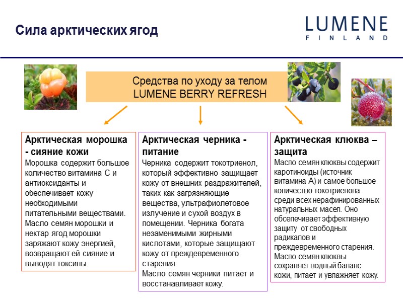 Сила арктических ягод Арктическая морошка - сияние кожи Морошка содержит большое количество витамина С